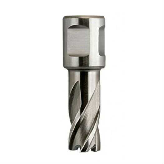 Fein 63134134001 17/32