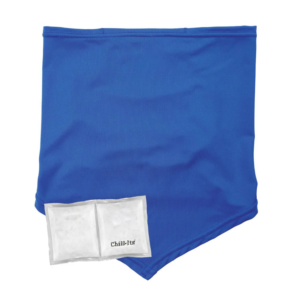 Ergodyne 42136 #6482 L/XL Blue Cooling Neck Gaiter Bandana Pocket Kit - Moutools