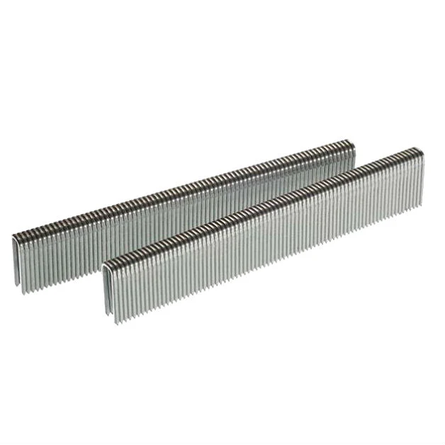 SENCO L13BABN 18 Gauge Galvanized Staple 1