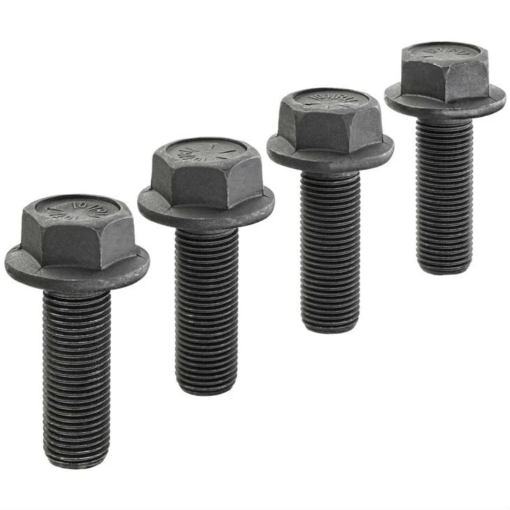 DeWalt DWA5842 Replacement Floor Scraper Fastener Kit - Moutools
